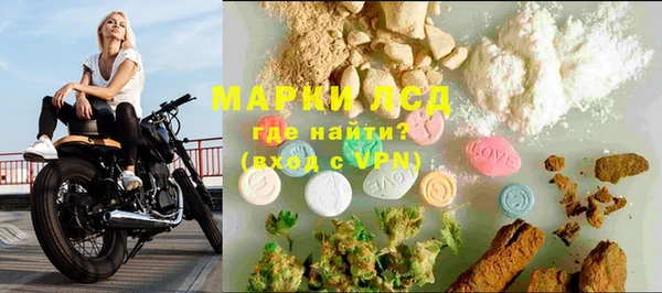 ПСИЛОЦИБИНОВЫЕ ГРИБЫ Лихославль